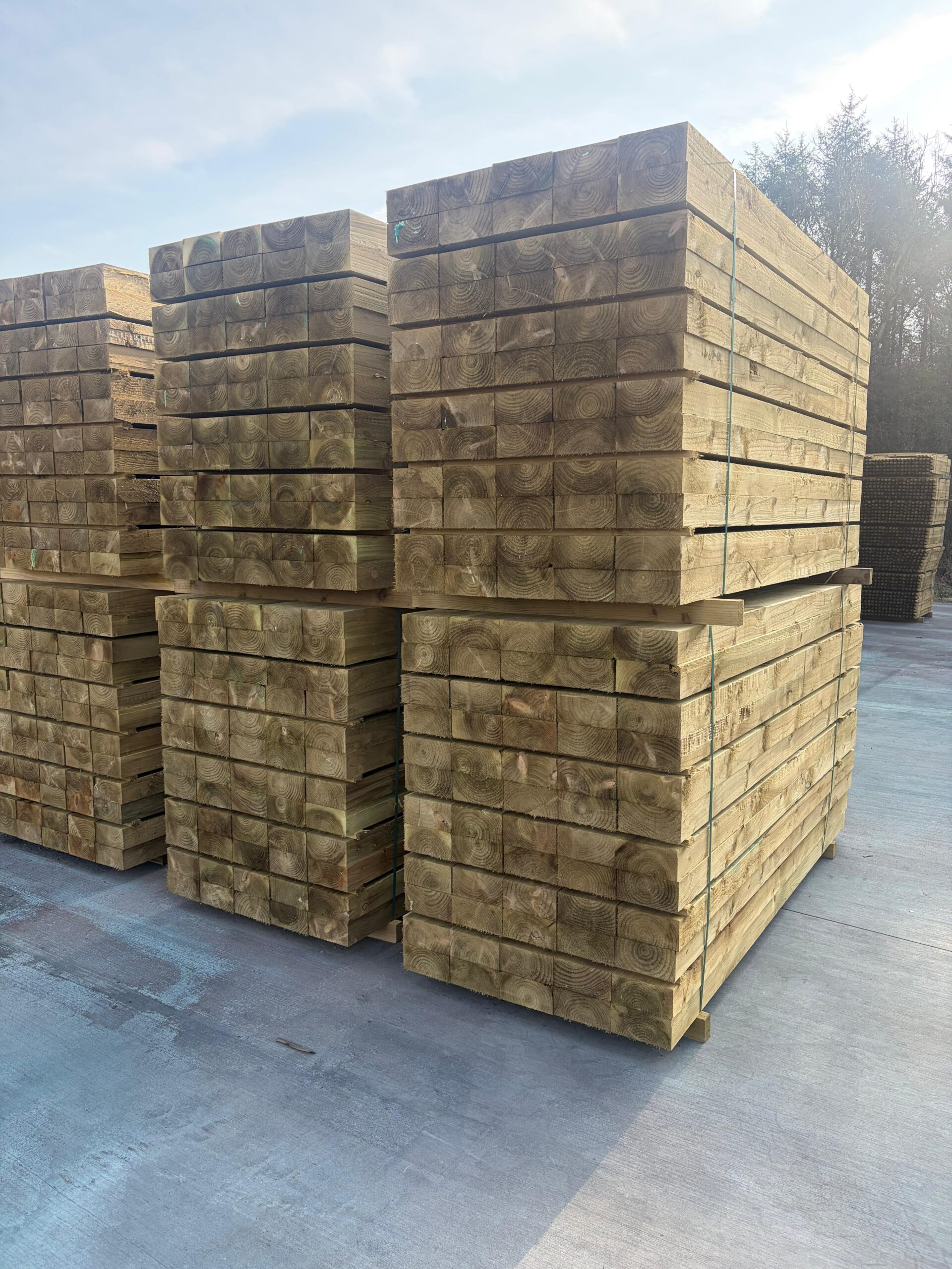 Carcassing Timber - Image 3