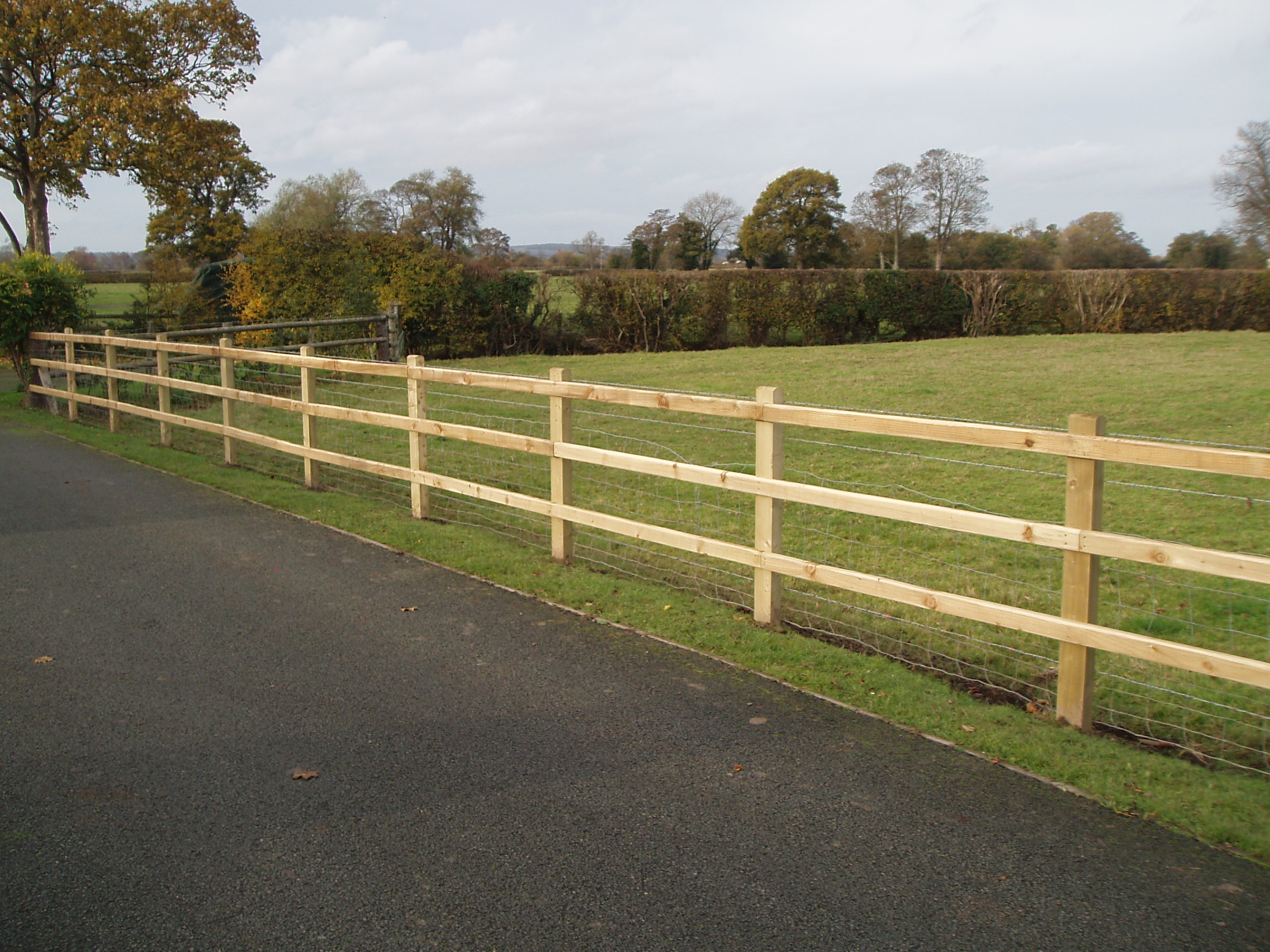 Standard post and rail - Image 2