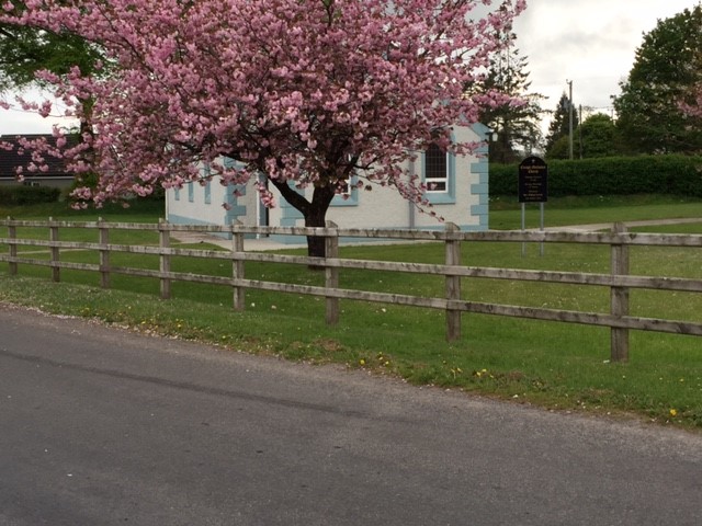 Standard post and rail - Image 3